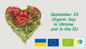ОРГ_англ