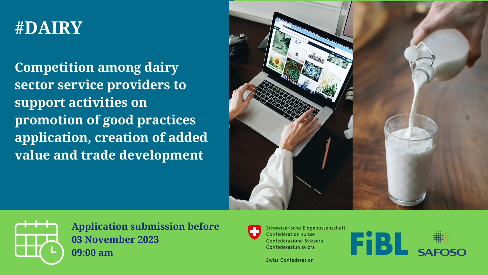 competition among dairy sector service providers