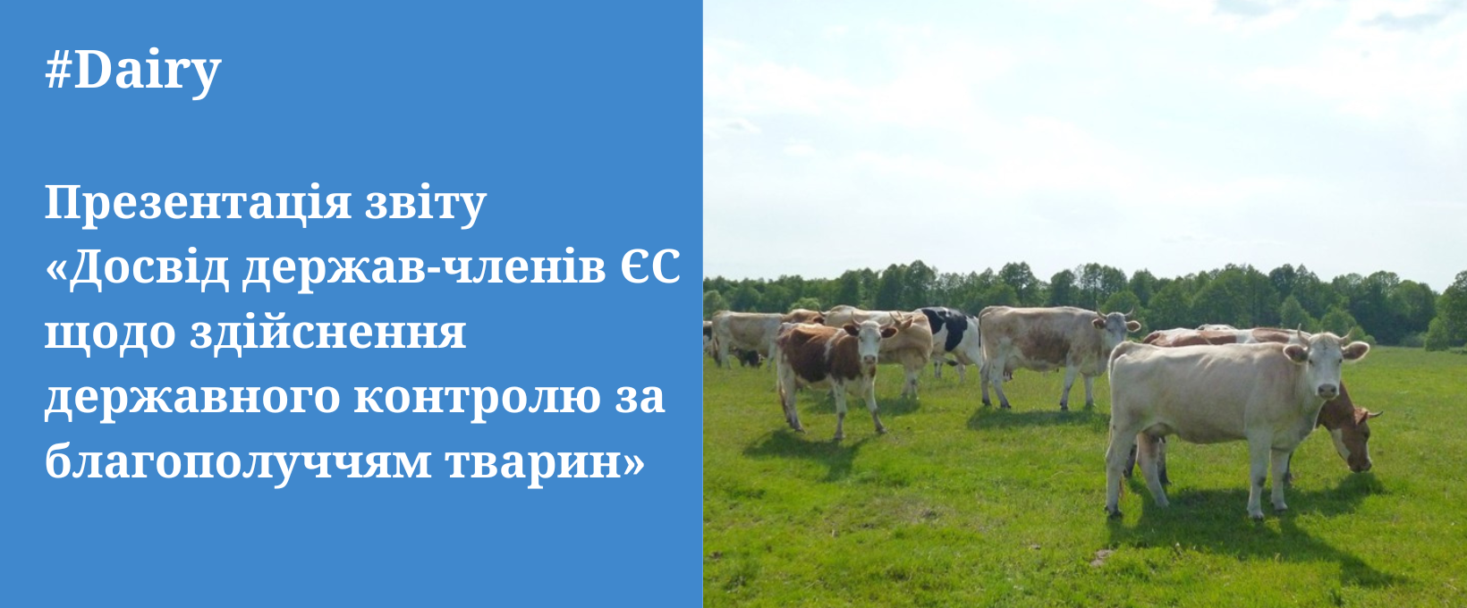 Презентація звіту «Досвід держав-членів ЄС щодо здійснення державного контролю за благополуччям тварин»