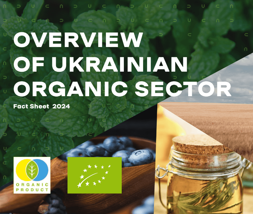 Огляд експортного потенціалу органічного сектору України, EEPO Інформаційний бюлетень_лютий_2024